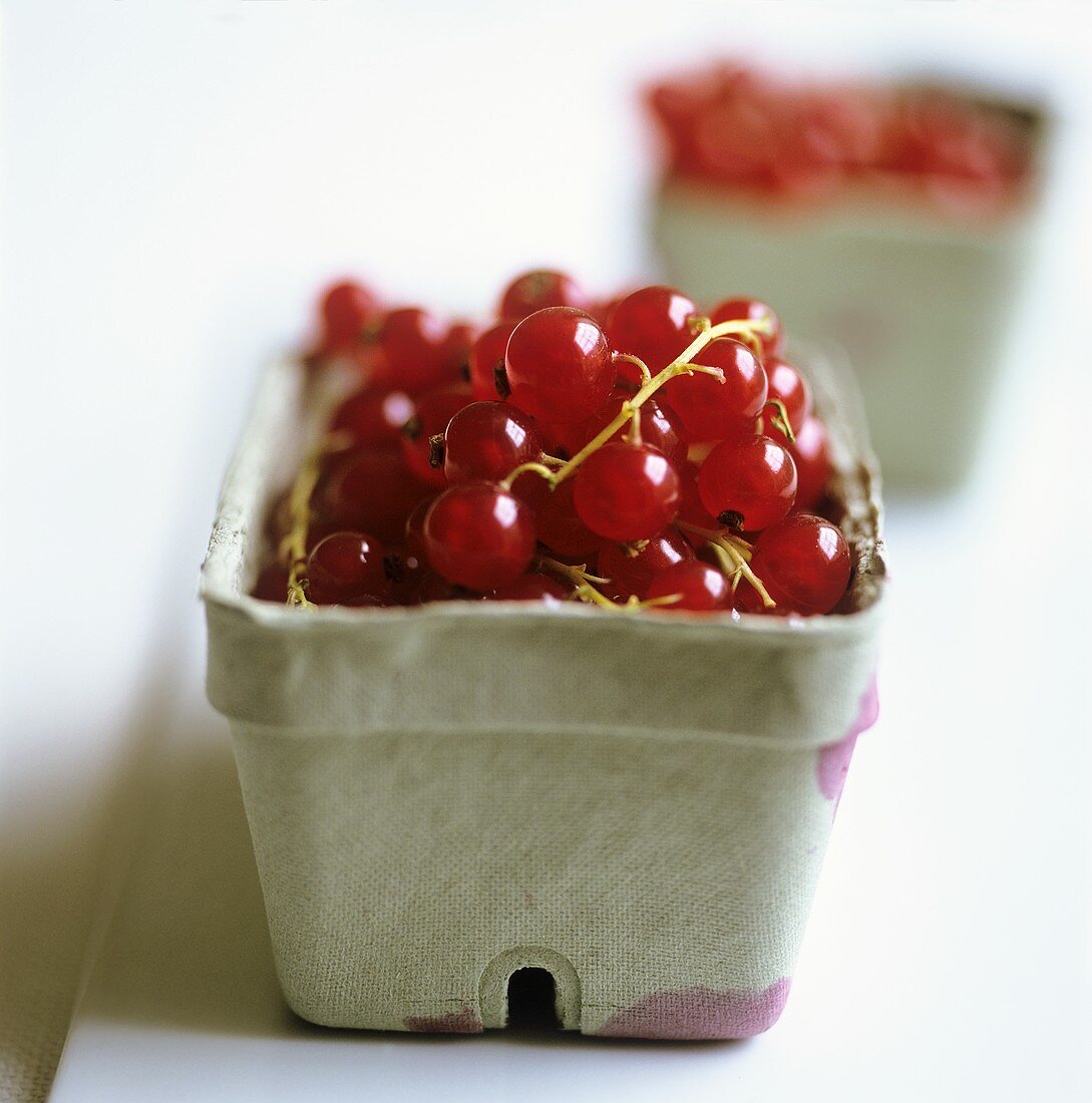 Redcurrants in cardboard punnet