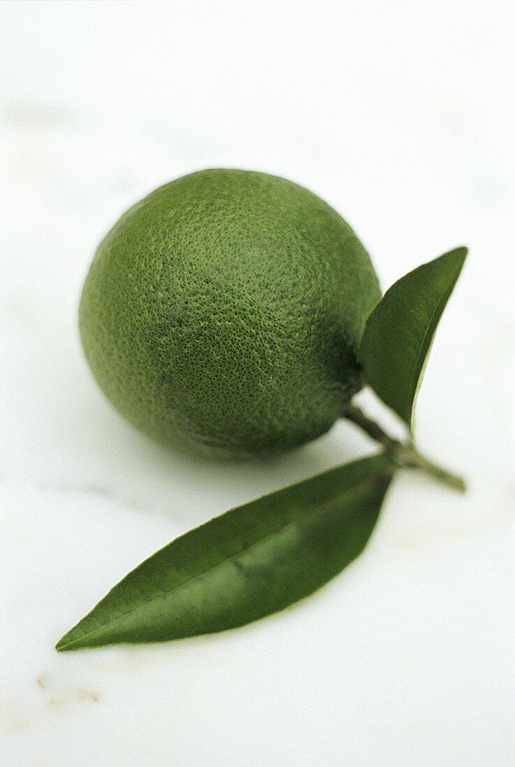 A lime with leaves