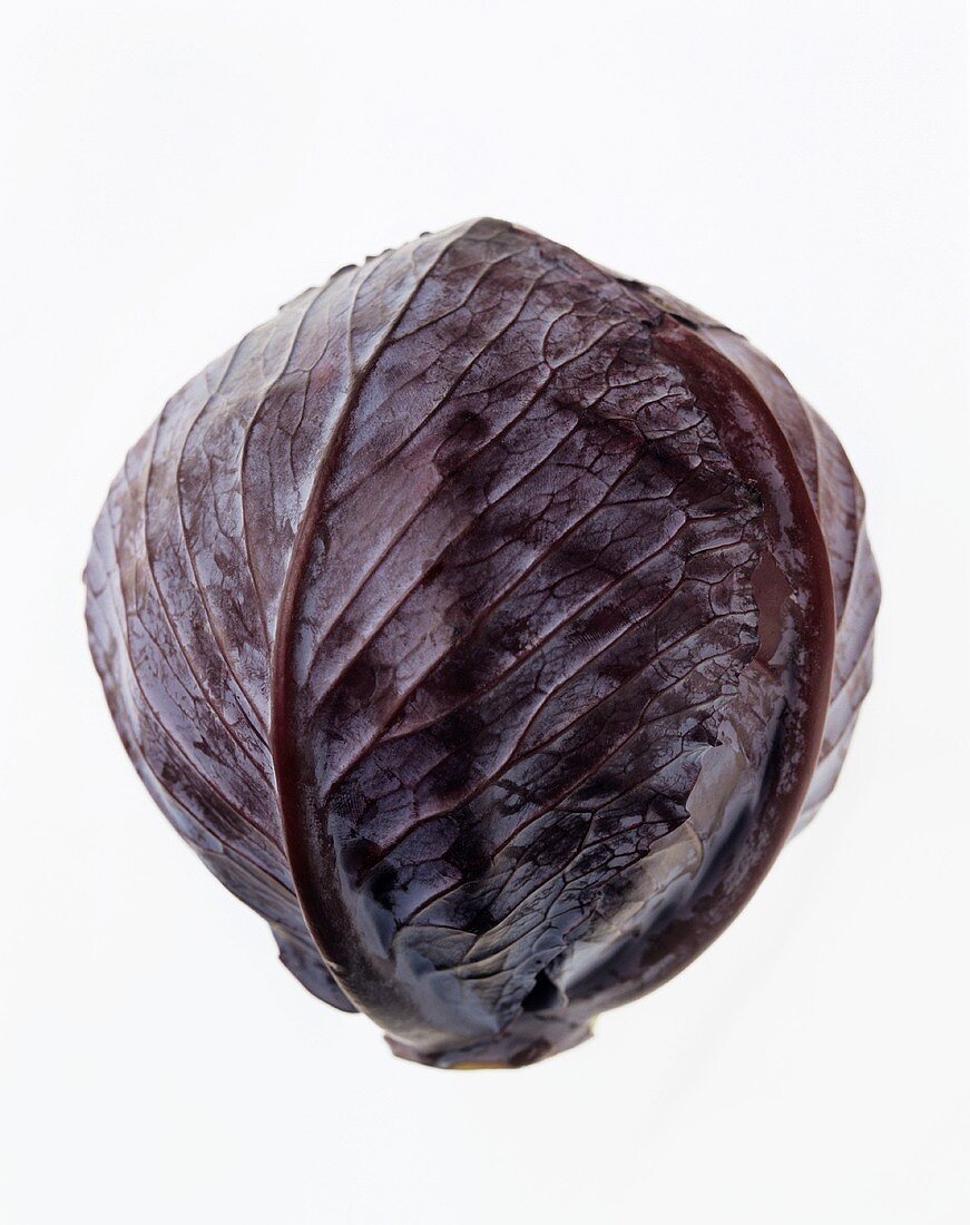 A red cabbage