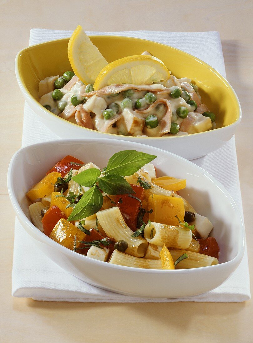 Rigatoni salad and chicken breast salad