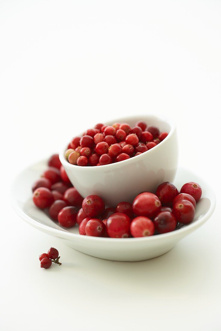 European cranberries in a bowl, American cranberries under it