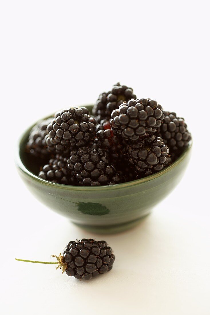 Kleines Schälchen mit Brombeeren, eine davor