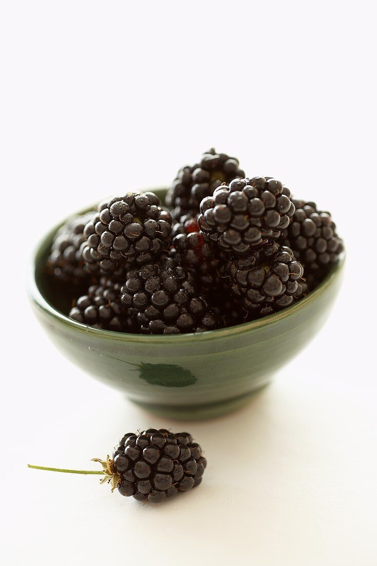 Small bowl of blackberries, one blackberry in front