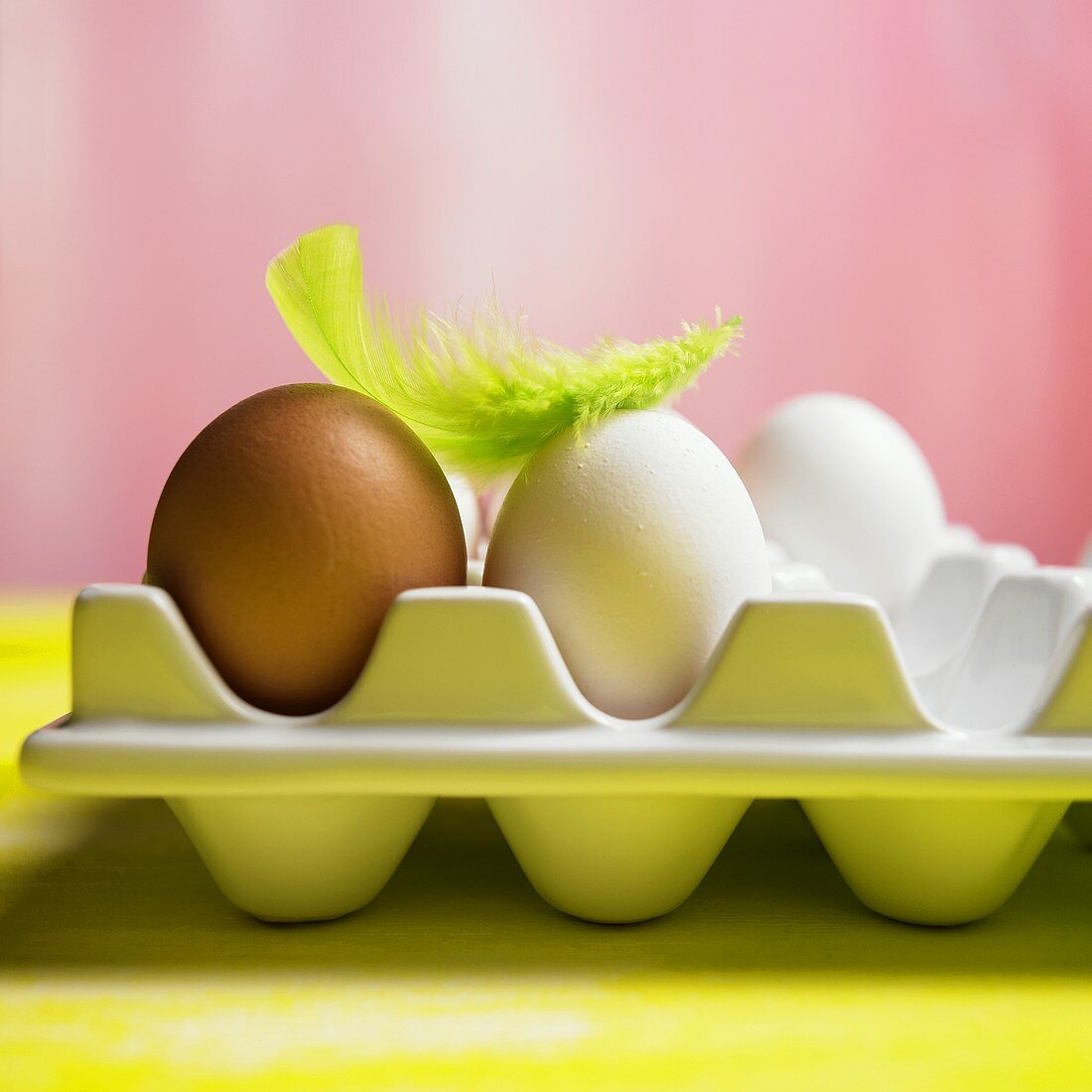 Eier auf einer Palette mit einer grünen Feder