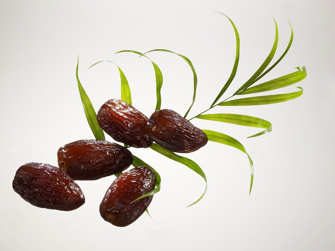Five dried dates and a palm leaf