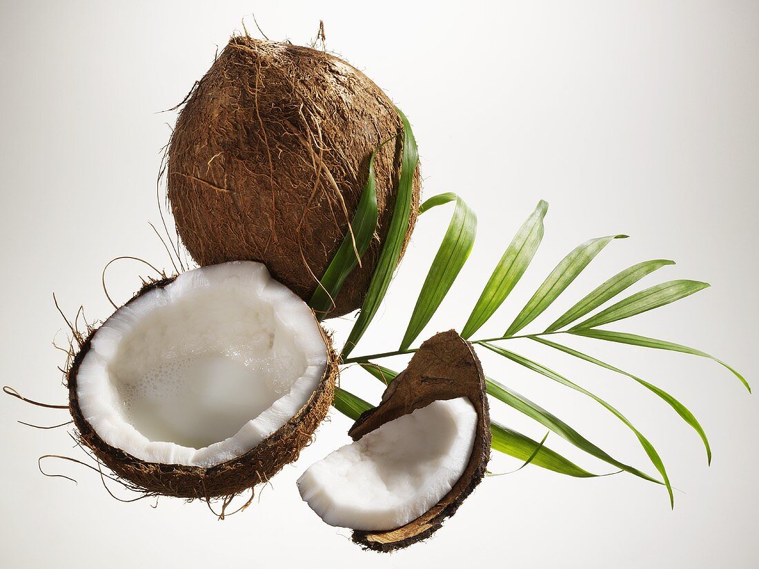 Opened coconut, palm leaf and whole coconut