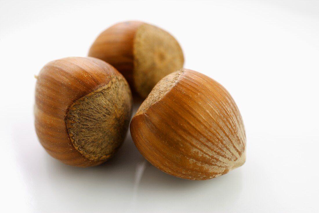 Three hazelnuts