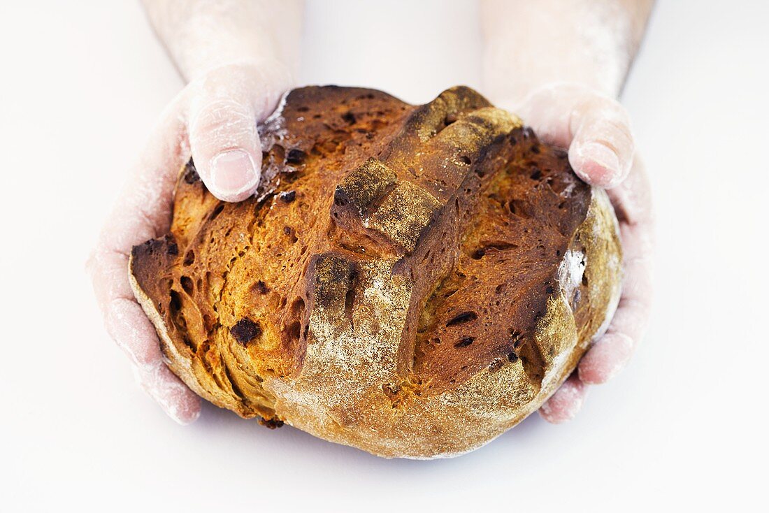 Bemehlte Hände halten ein gebackenes Bauernbrot