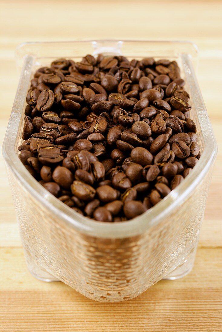 Roasted coffee beans in a glass scoop 