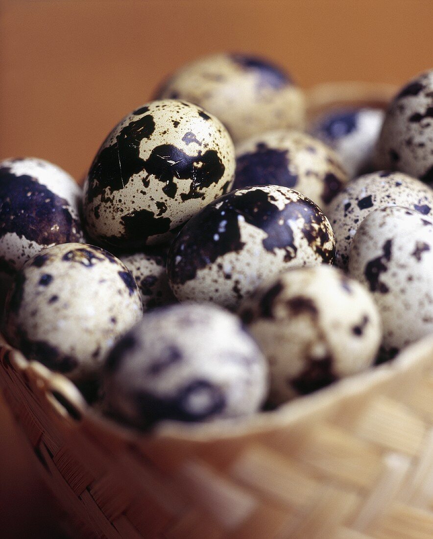 Quail's eggs in a basket