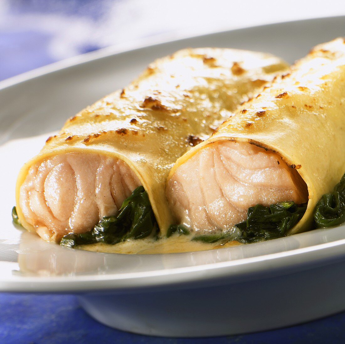 Cannelloni filled with salmon and spinach