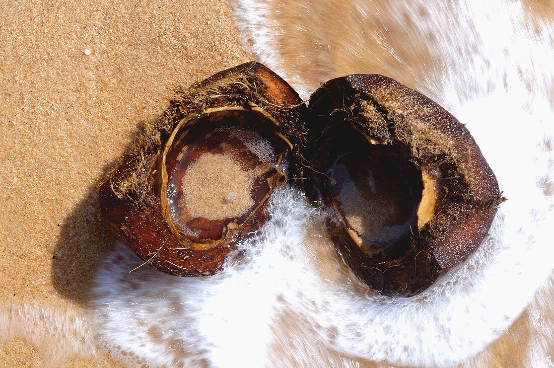 Geöffnete Aussenschale einer Kokosnuss am Strand