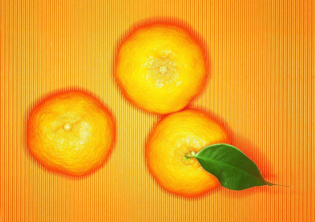 Three mandarin oranges on orange background