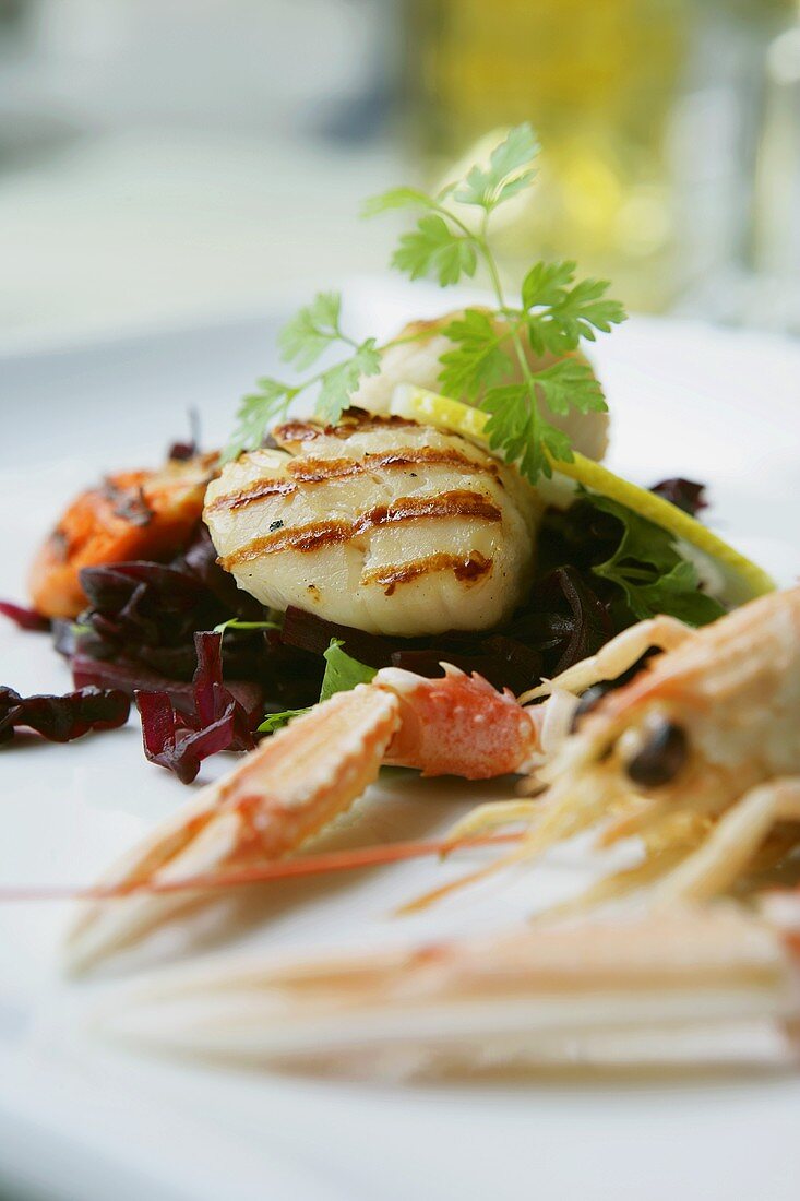 Plate of seafood with langoustine and scallops