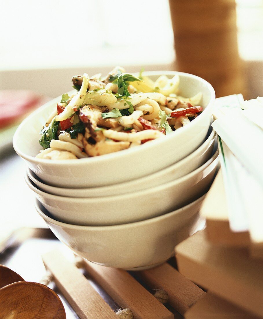 Udon noodles with vegetables