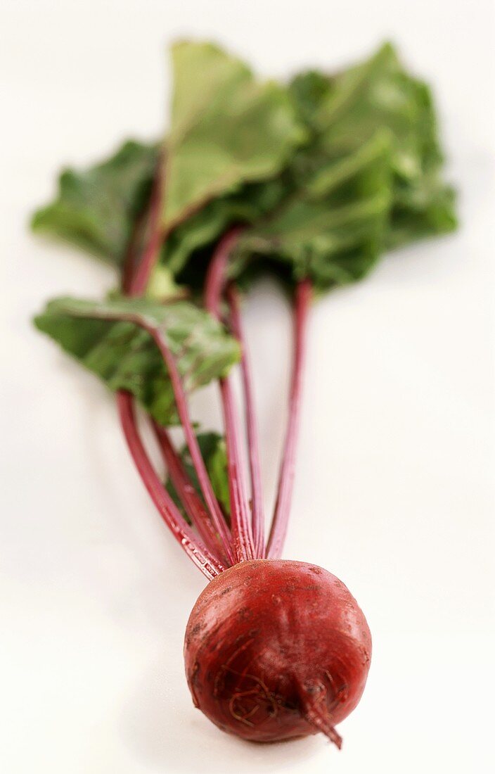 Beetroot