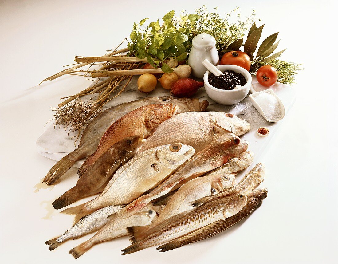 Fische und Zutaten für Fischgerichte