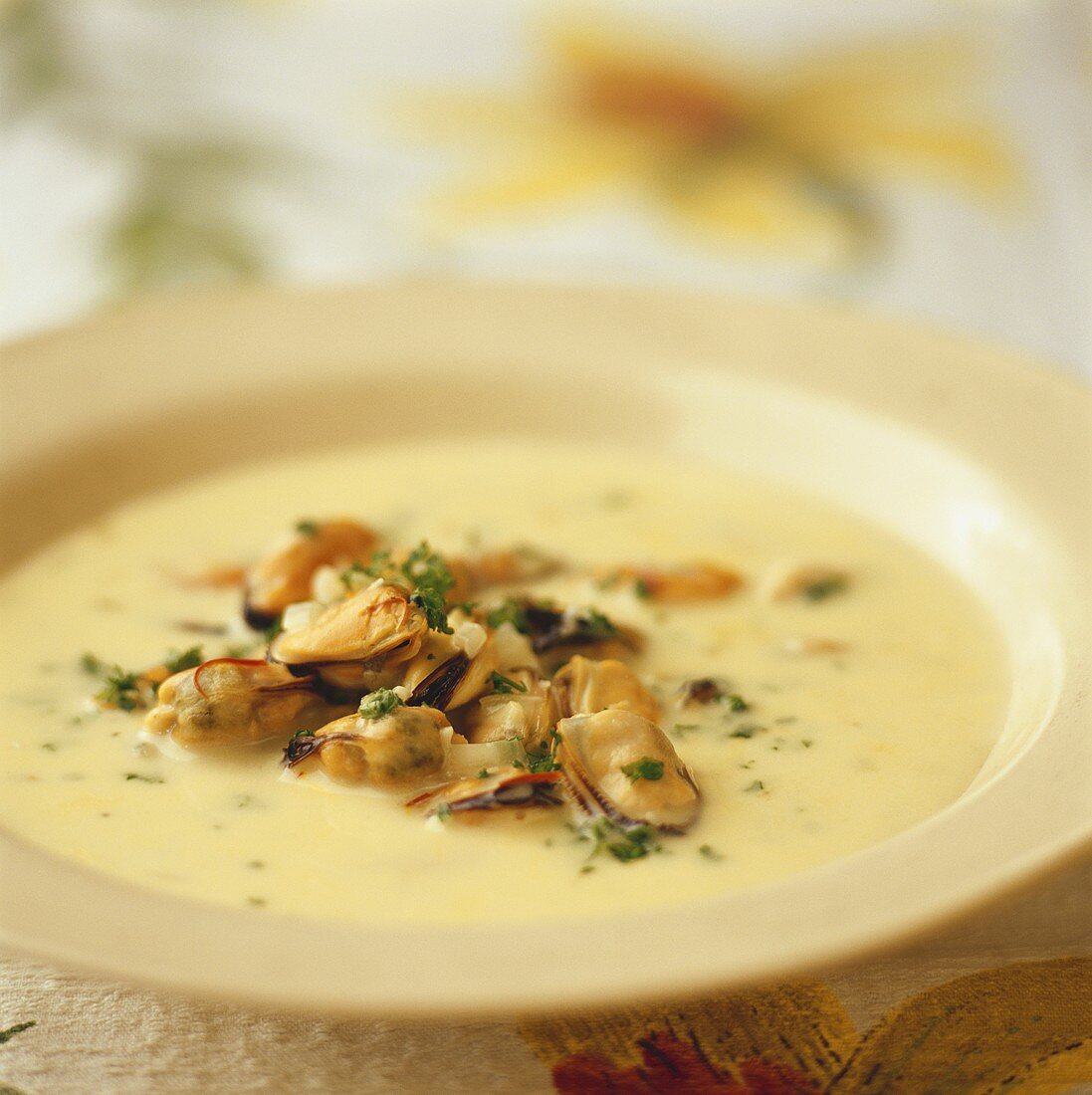 French mussel soup
