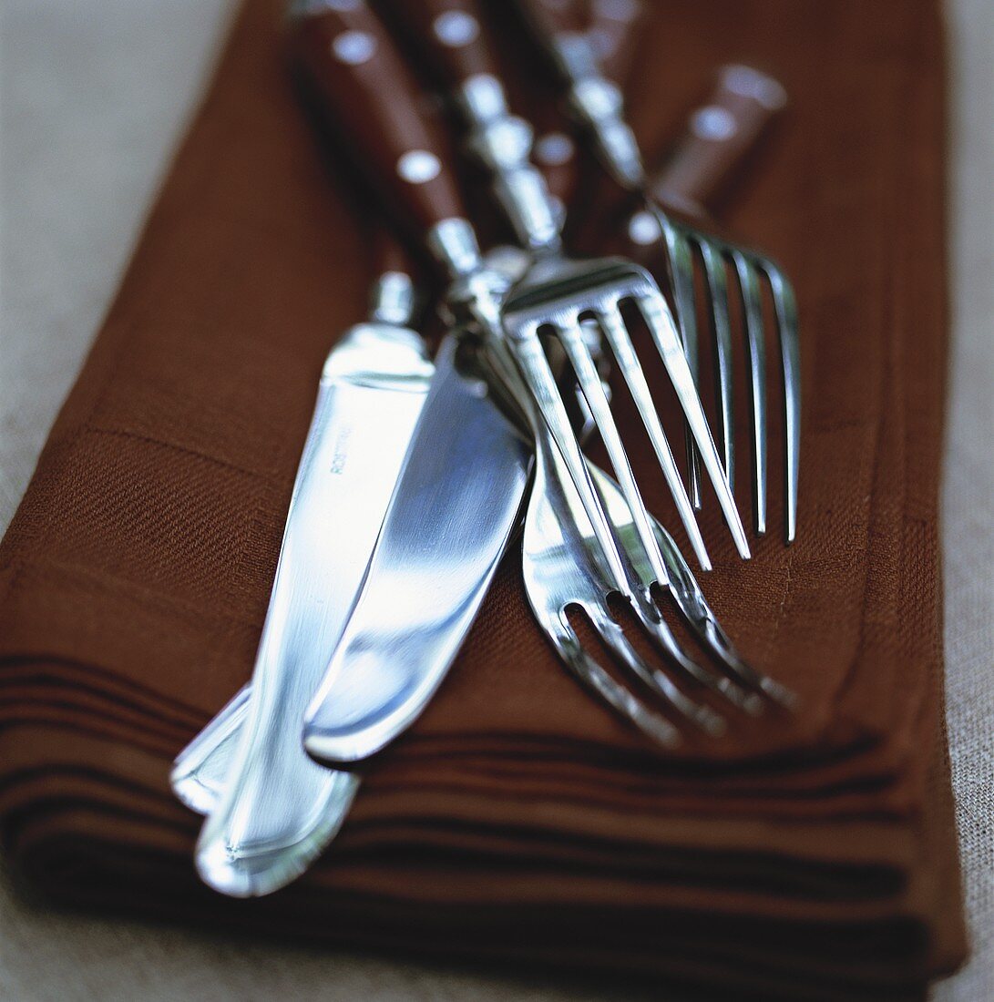 Gabel und Messer auf braunen Servietten
