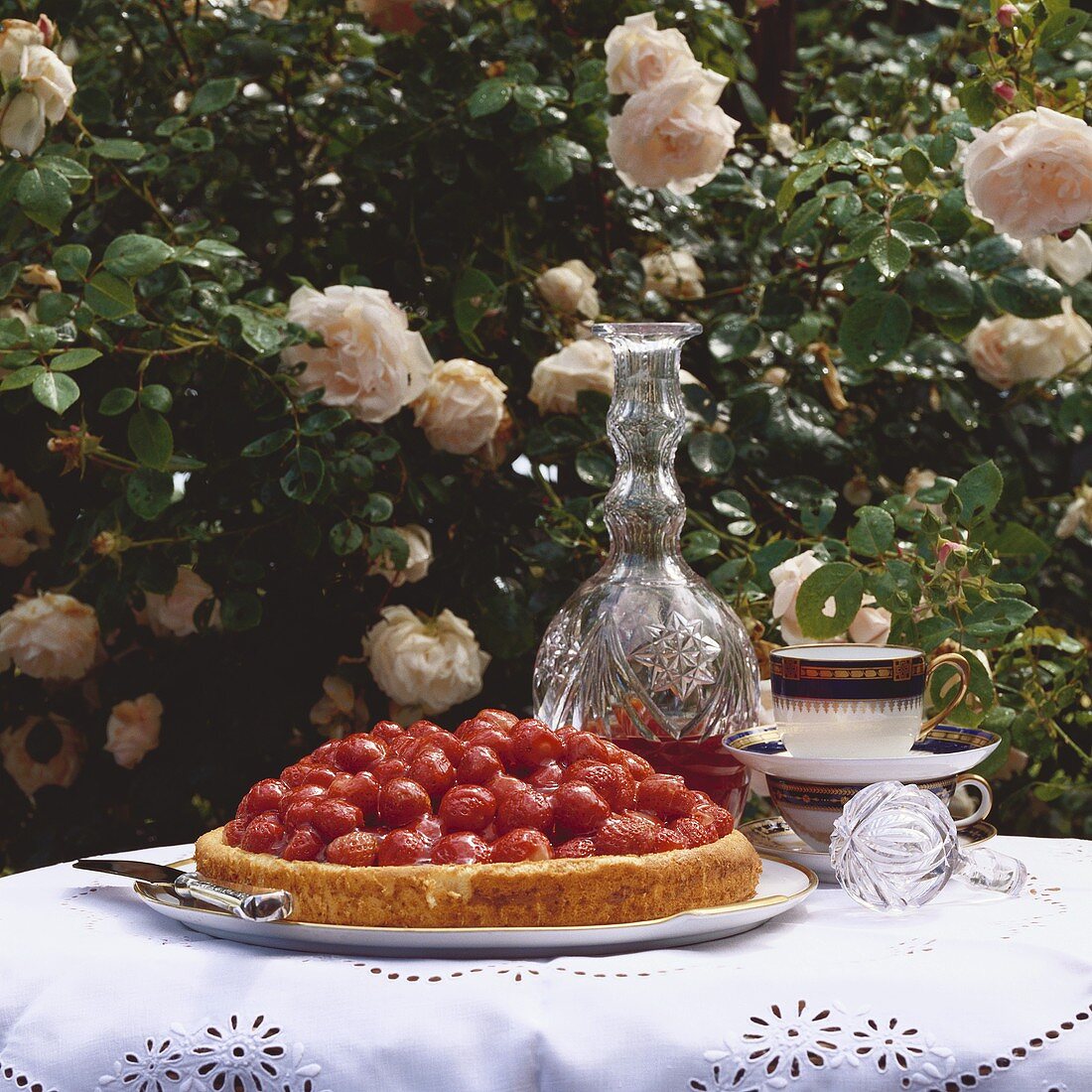 Strawberry flan in front of rose bush