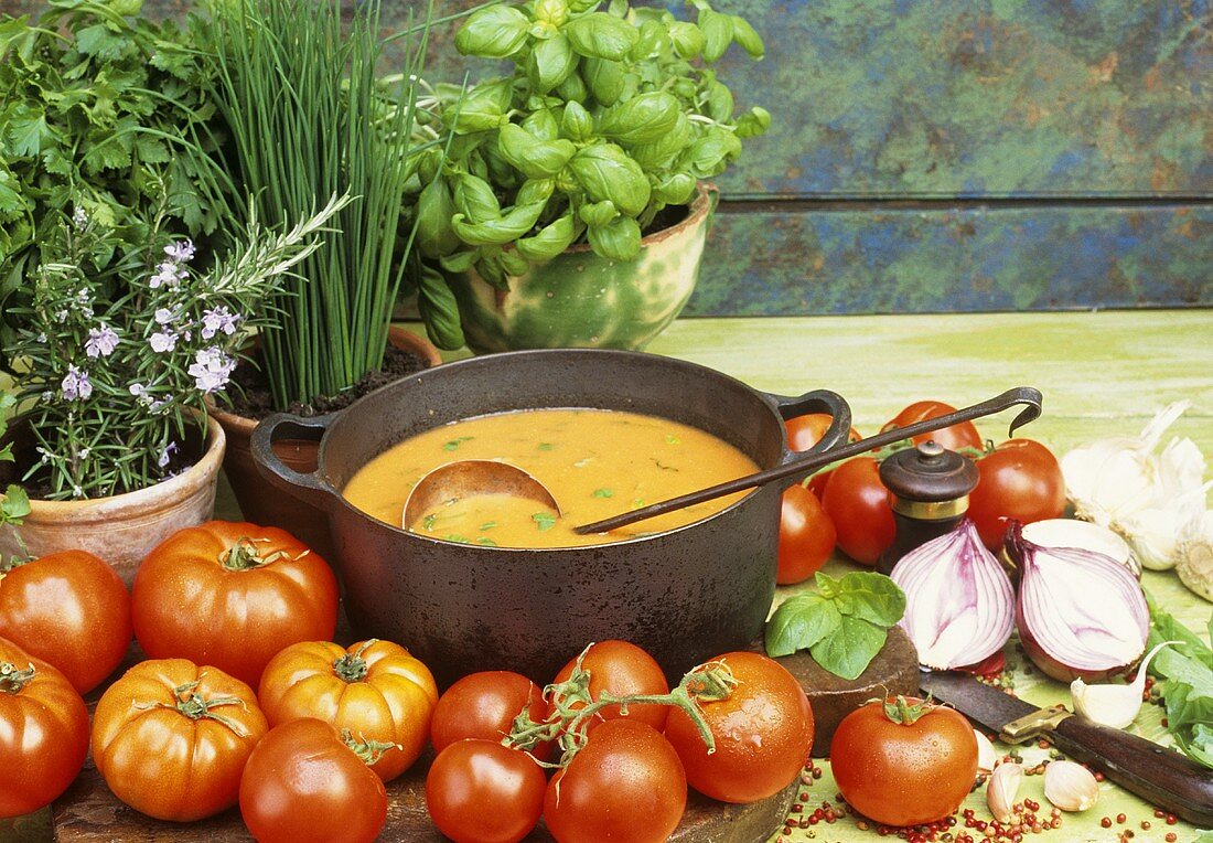 Selbst gemachte Tomatensuppe mit Zutaten