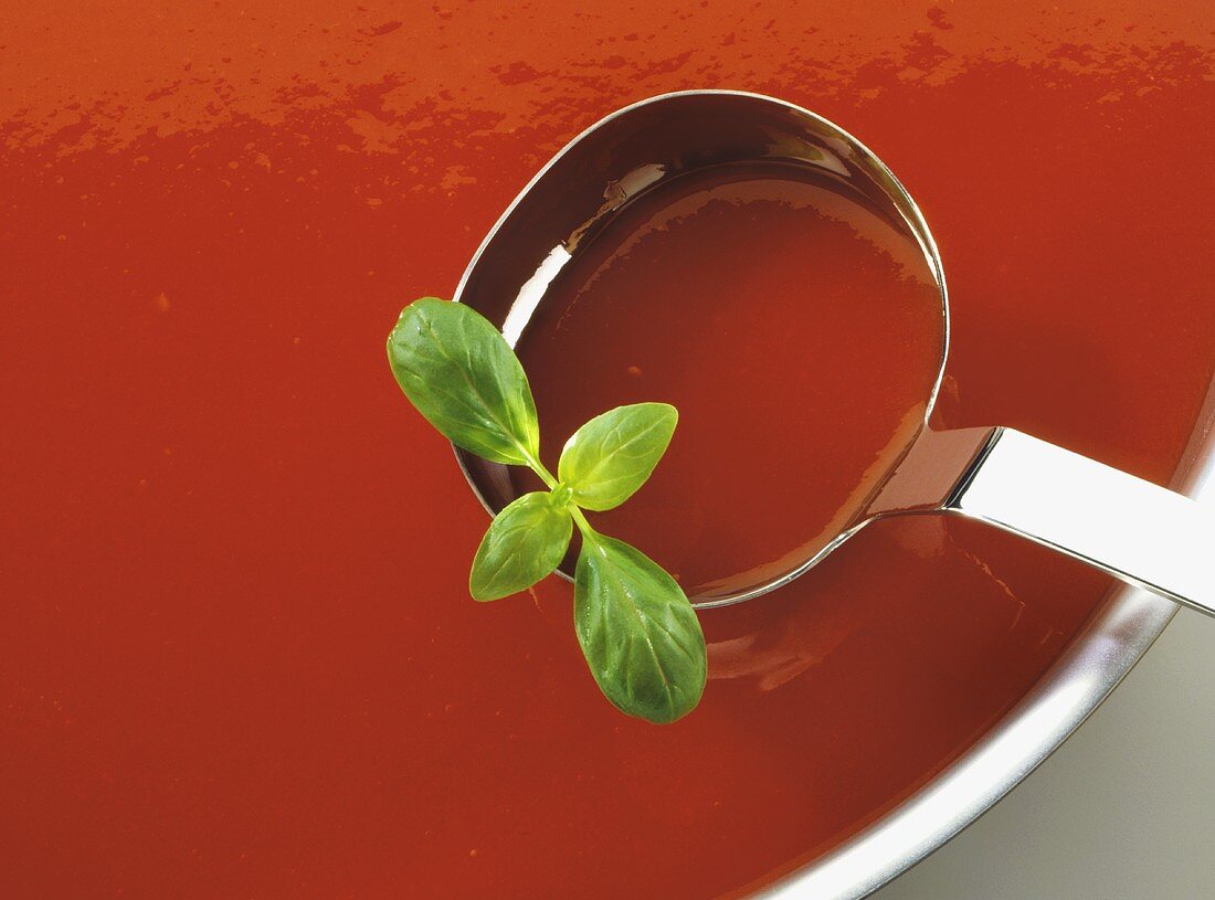 Tomato sauce with basil