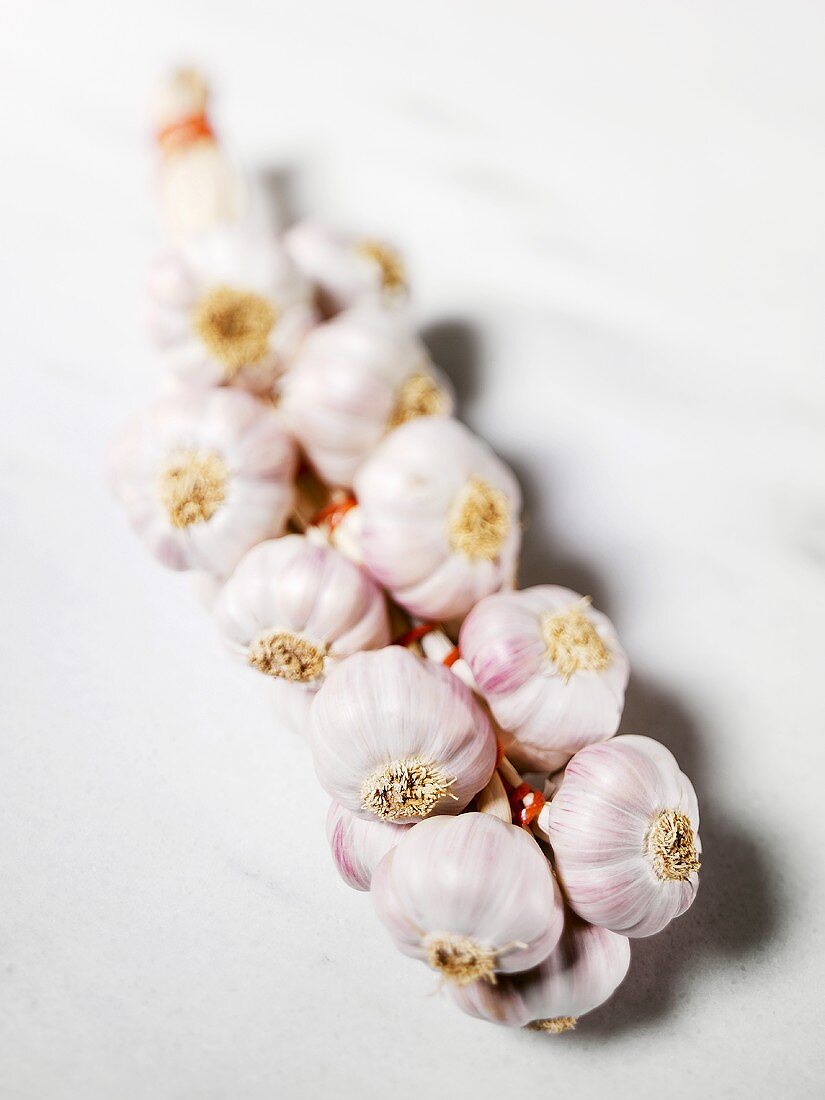 A garlic braid on white background