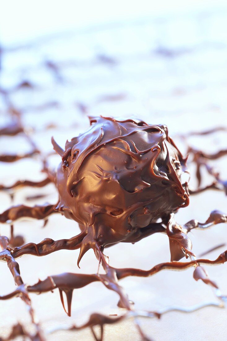 Chocolate truffle on a cake rack