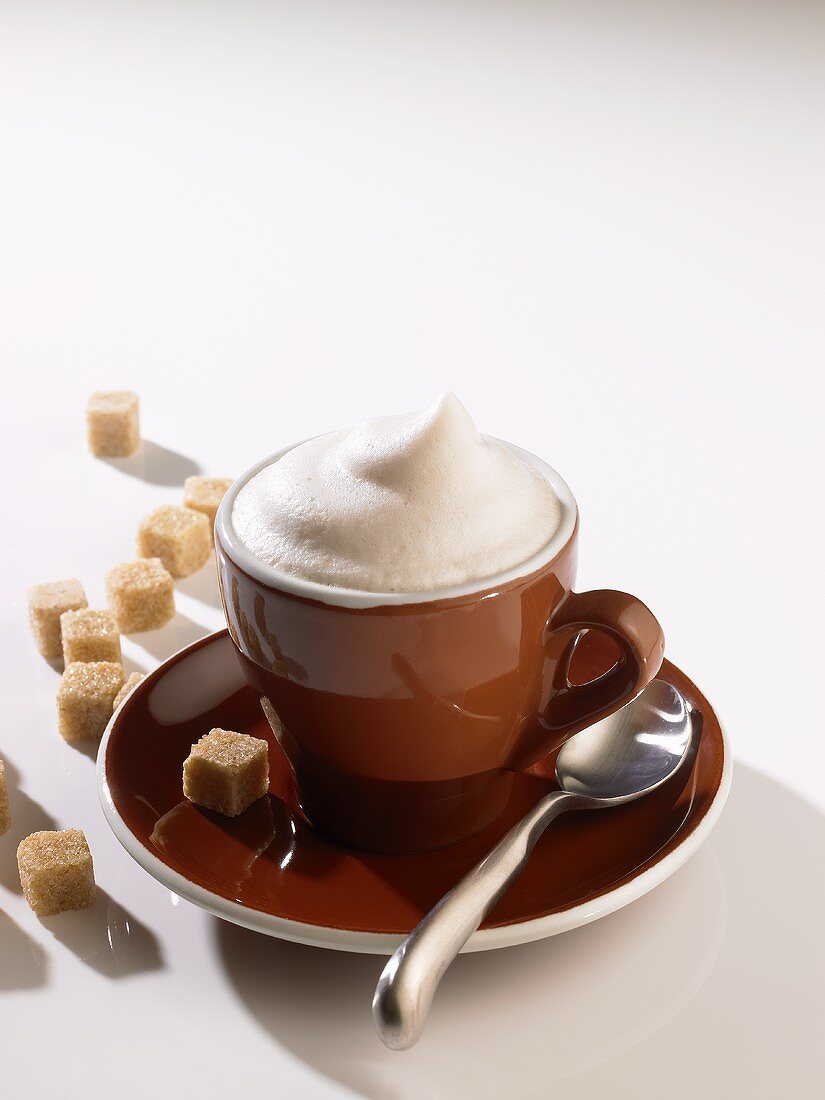 A cup of cappuccino with milk froth