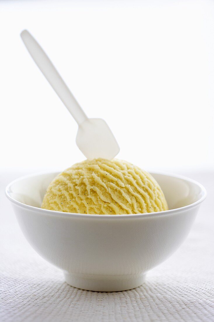 A scoop of vanilla ice cream in a small bowl