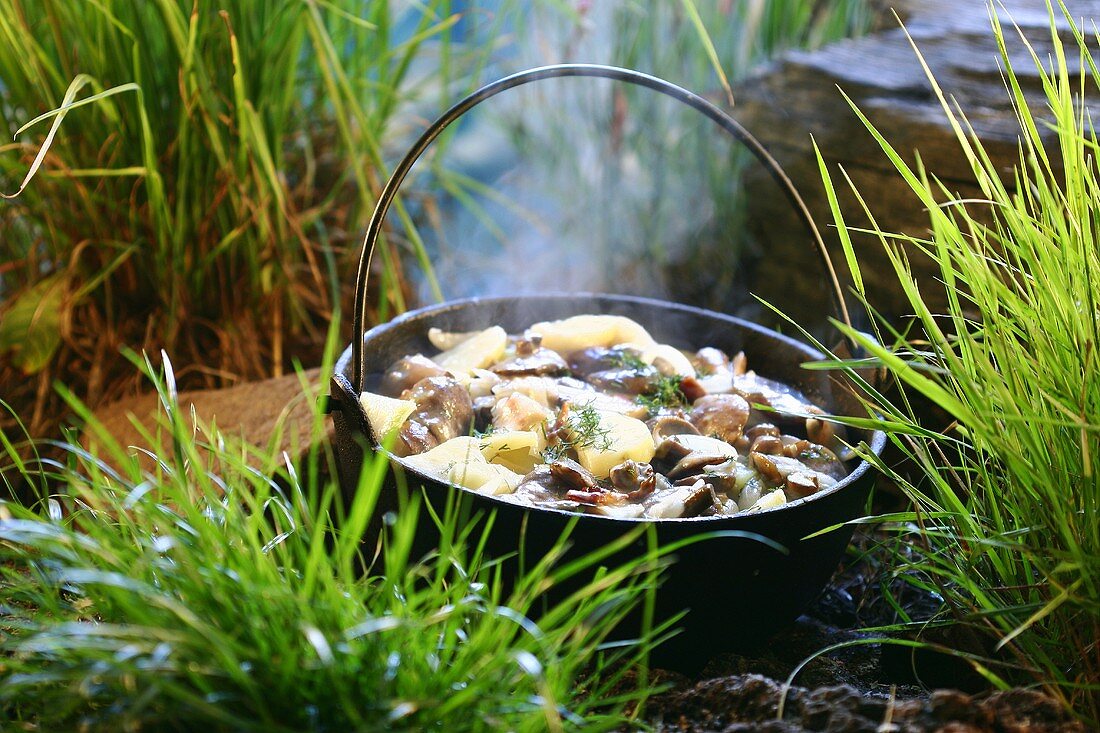Mushroom stew in forest