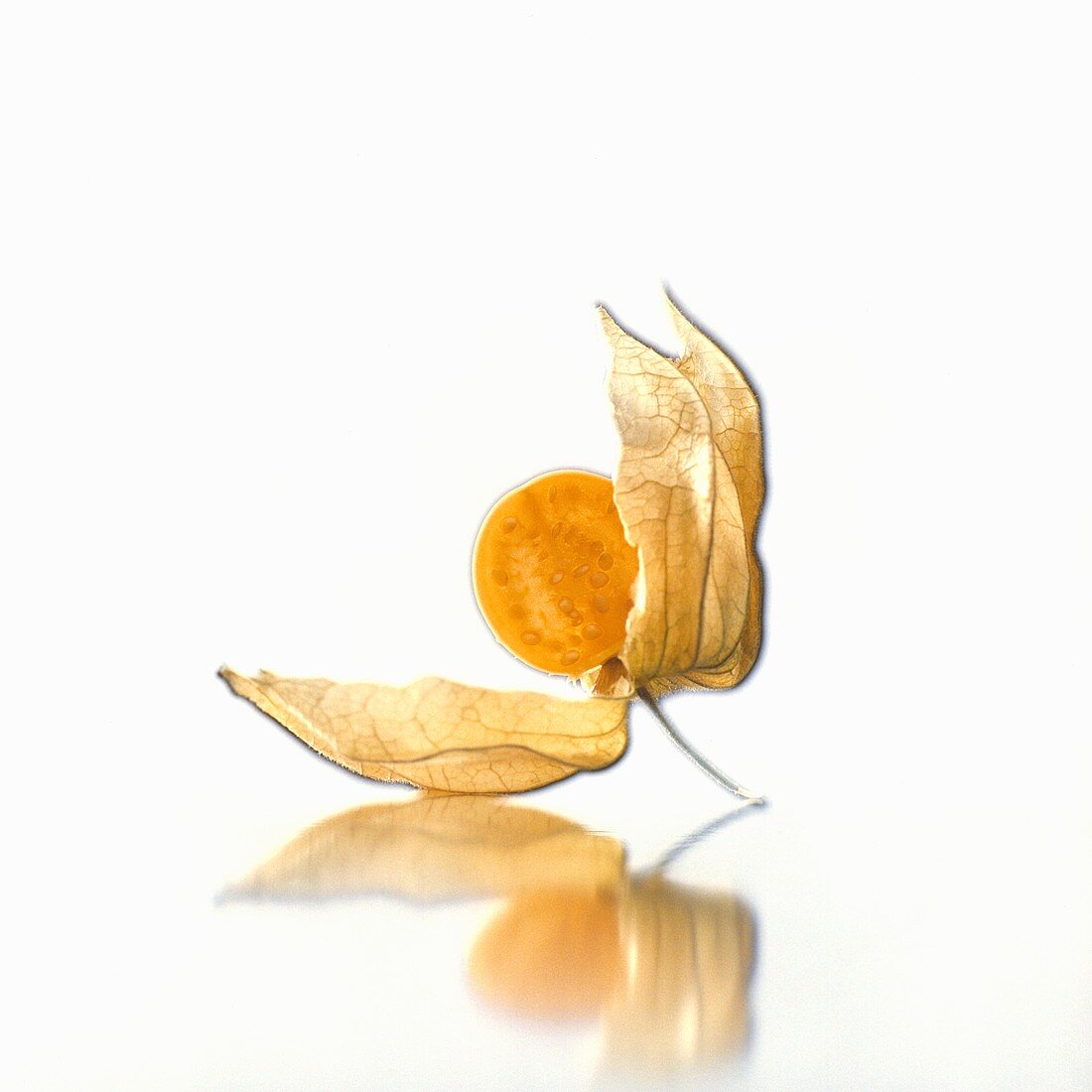 Half a Physalis with case