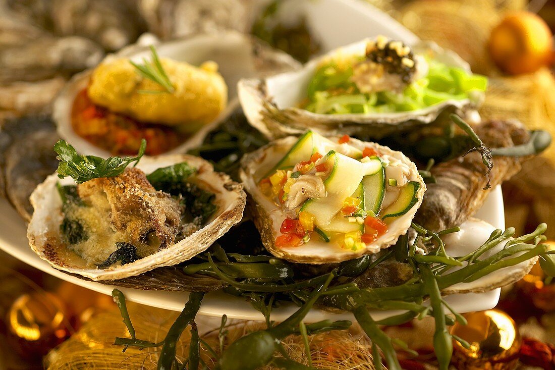 Oysters, prepared in various ways