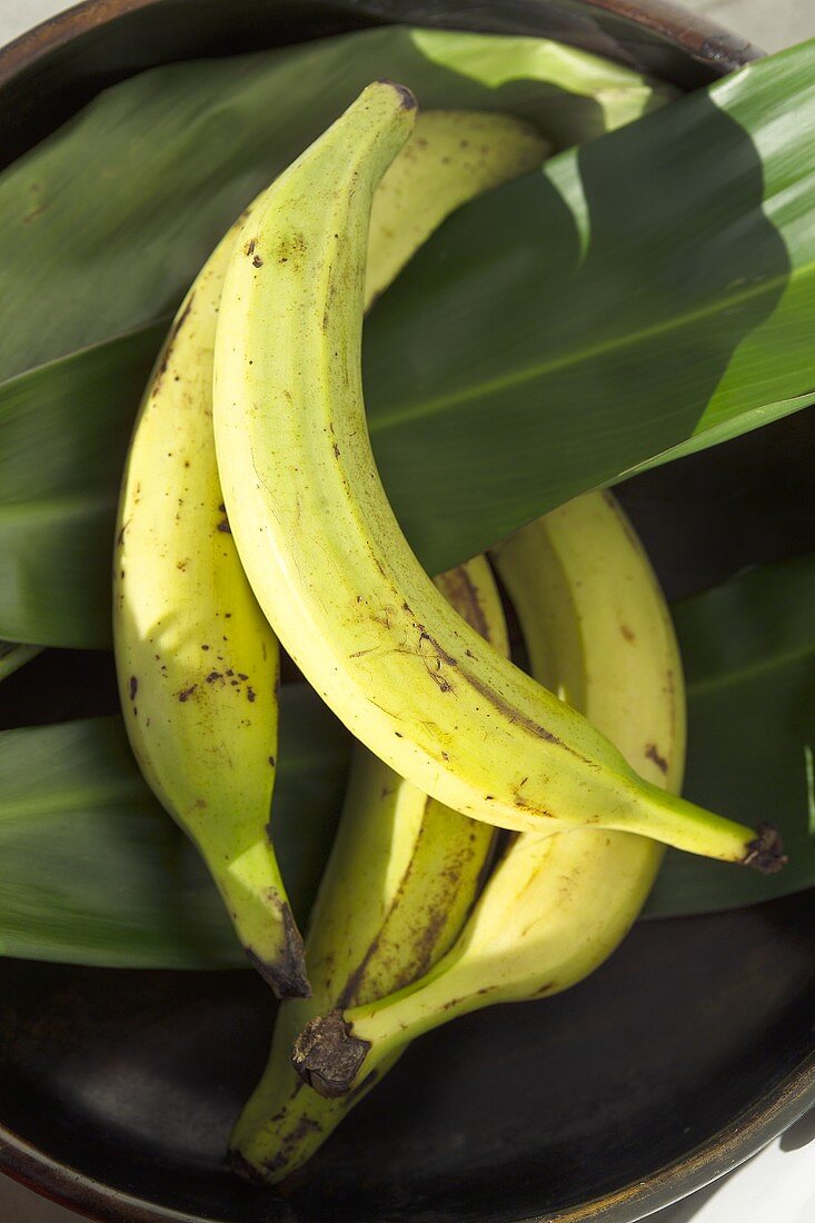 Vier Kochbananen und Bananenblätter