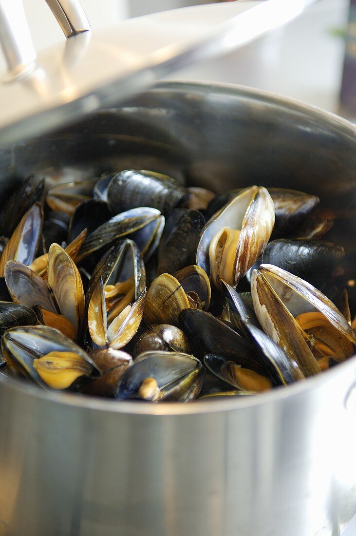 Muscheln in einem Topf