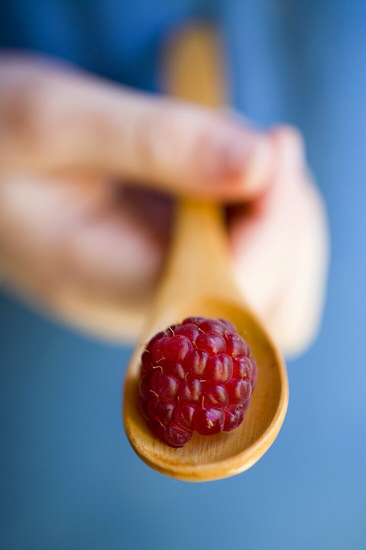 Hand holding raspberry on a wooden spoon