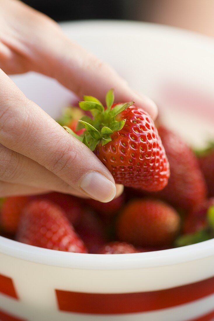 A hand holding a fresh strawberry