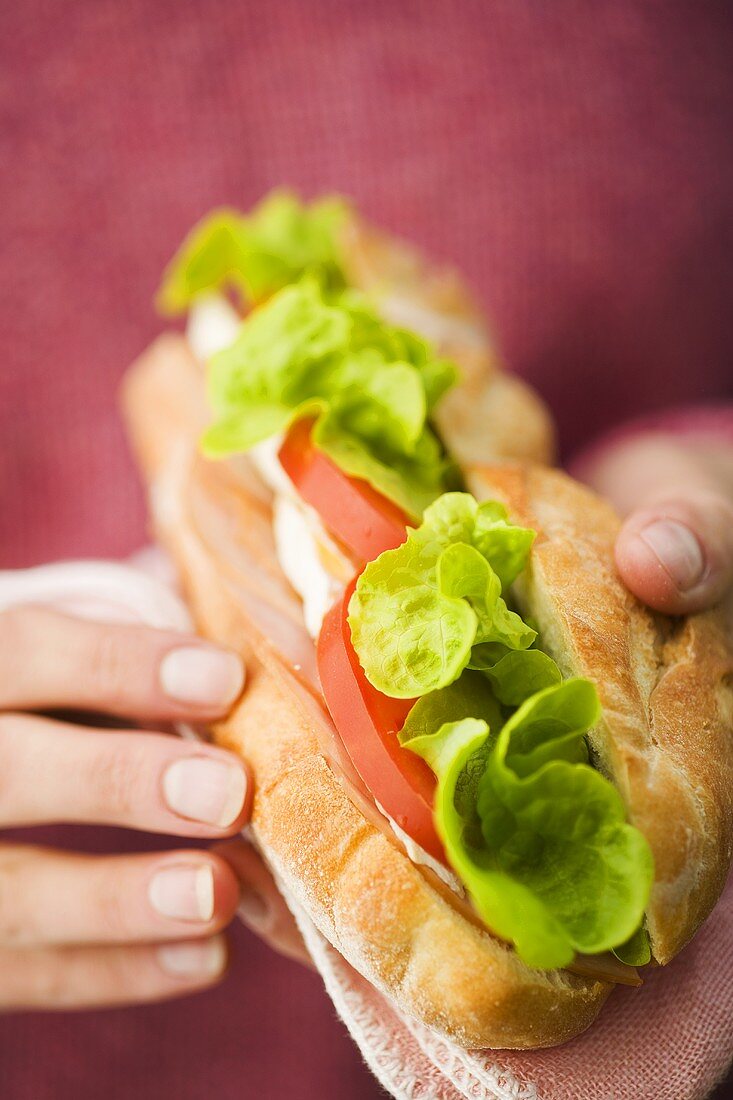 Two hands holding a chicken sandwich