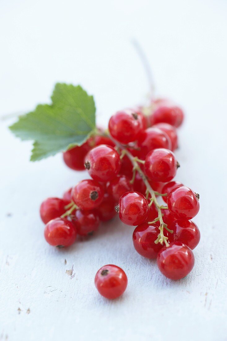 A bunch of redcurrants