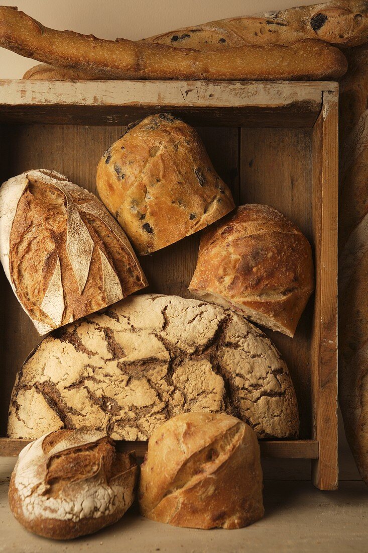 Verschiedene Brotsorten in und um eine Holzkiste