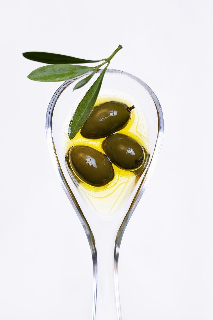 Grüne Oliven in Olivenöl mit Zweig