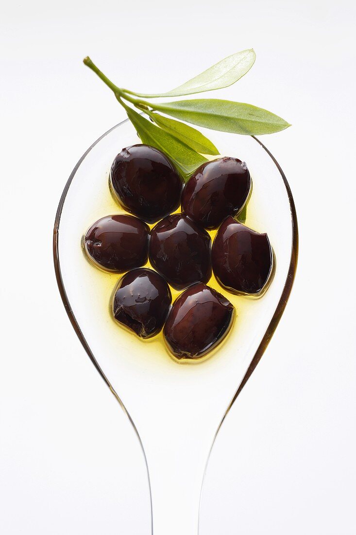Black olives in olive oil with olive sprig