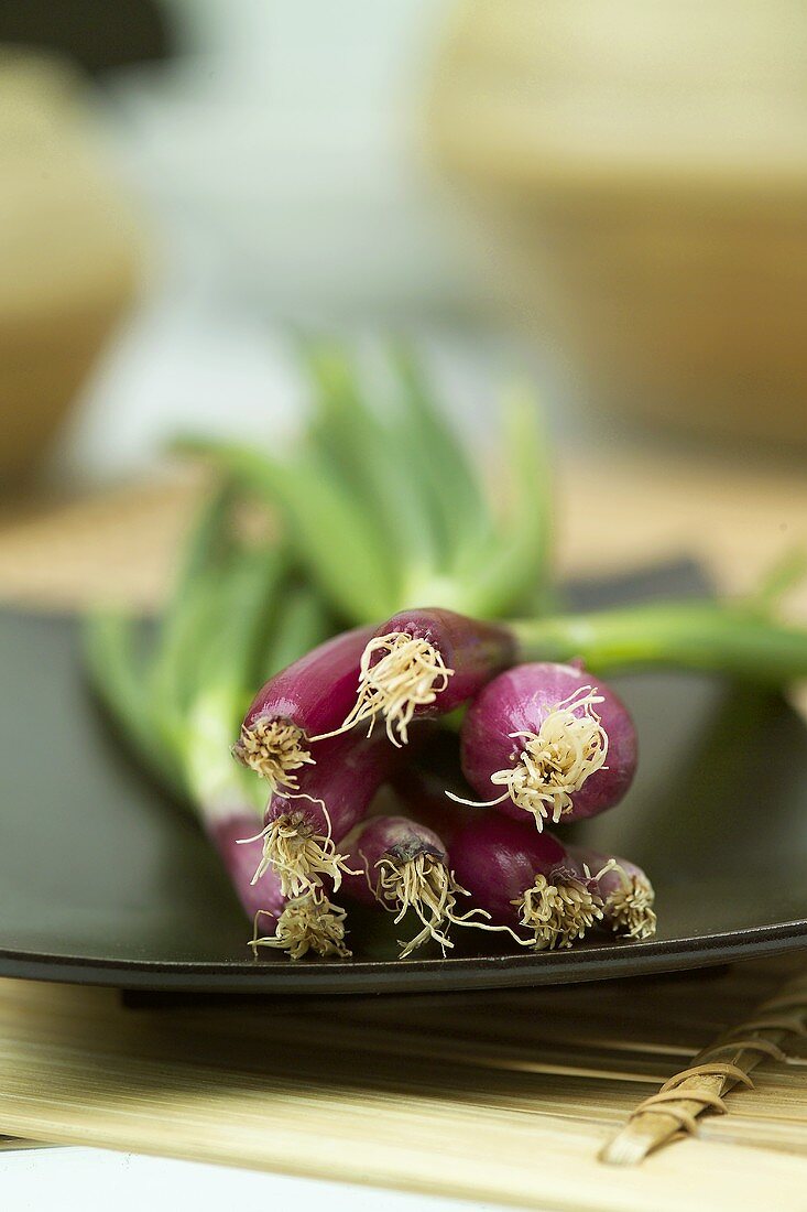 Red spring onions