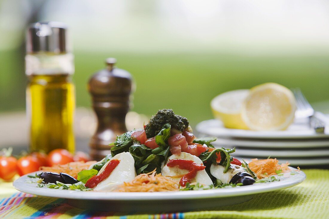 Greek salad with mozzarella