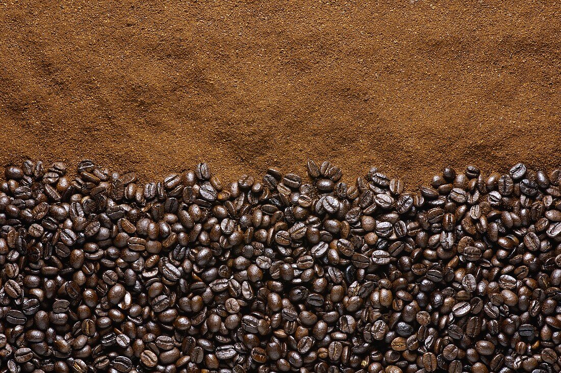 Coffee beans and coffee powder