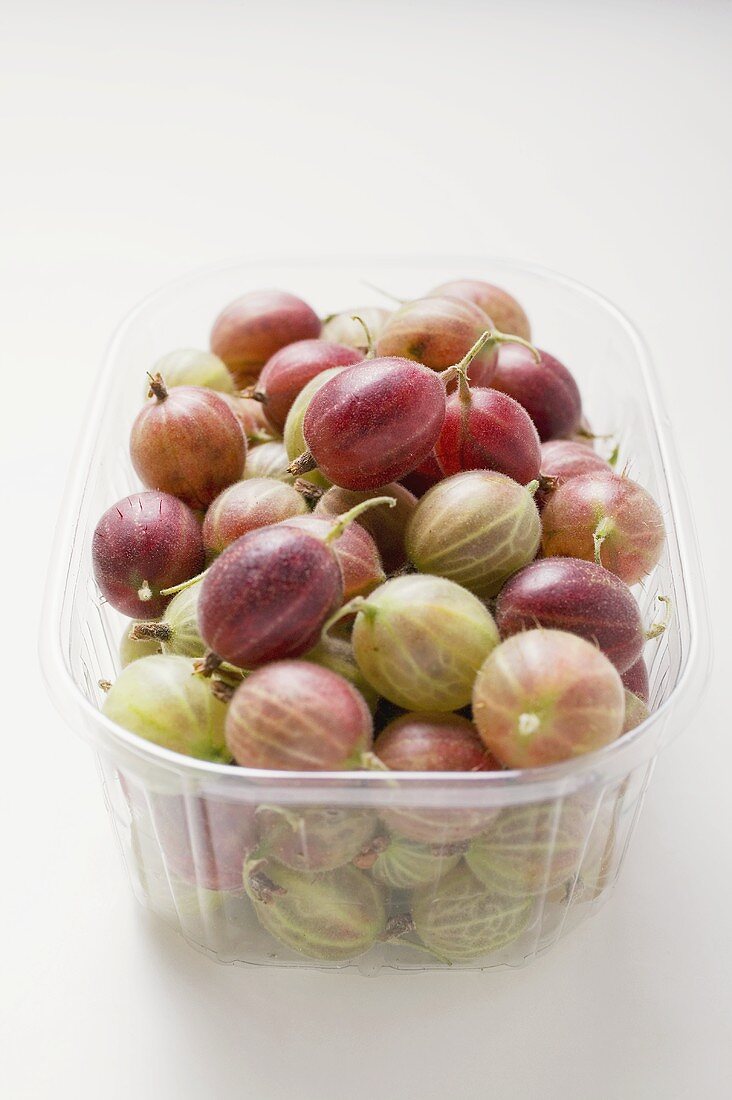 Frische Stachelbeeren in der Plastikschale