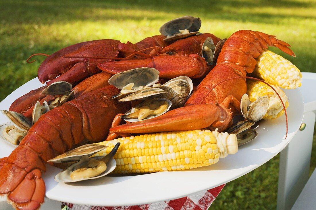 Lobster, clams and sweetcorn