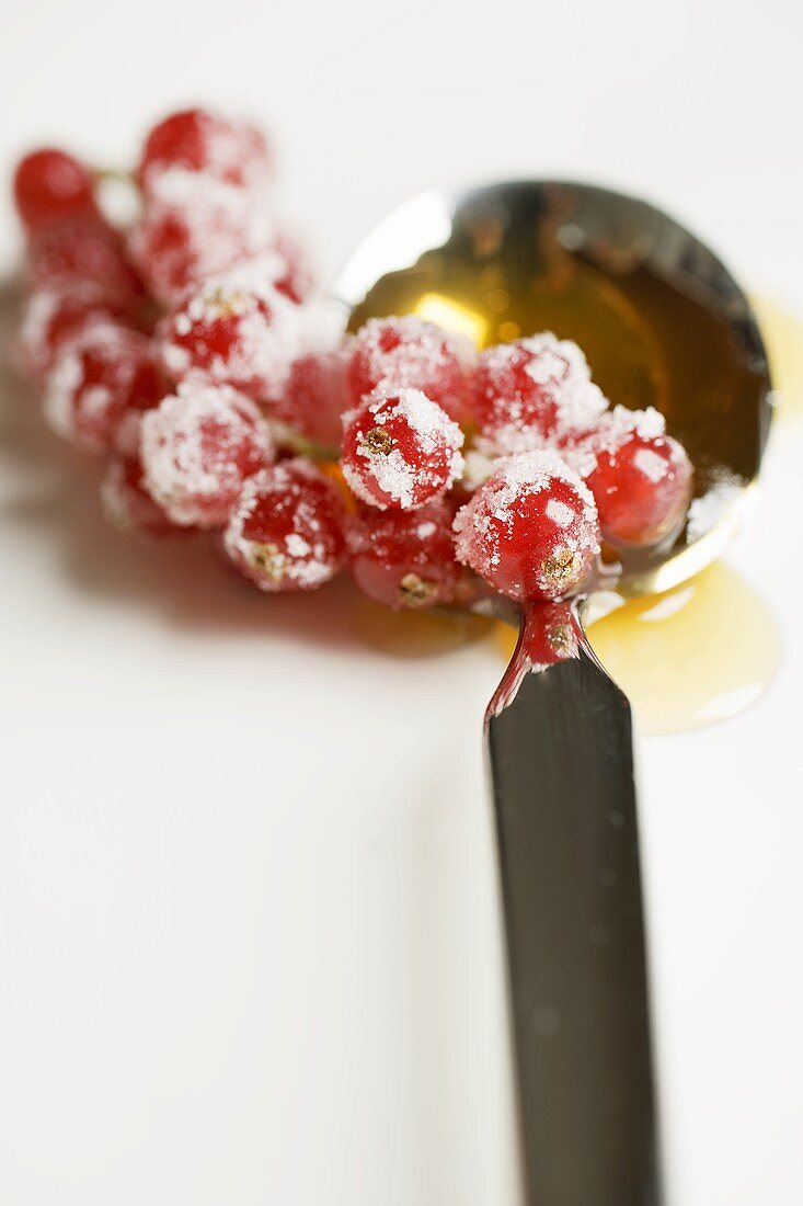 Sugared redcurrants with honey