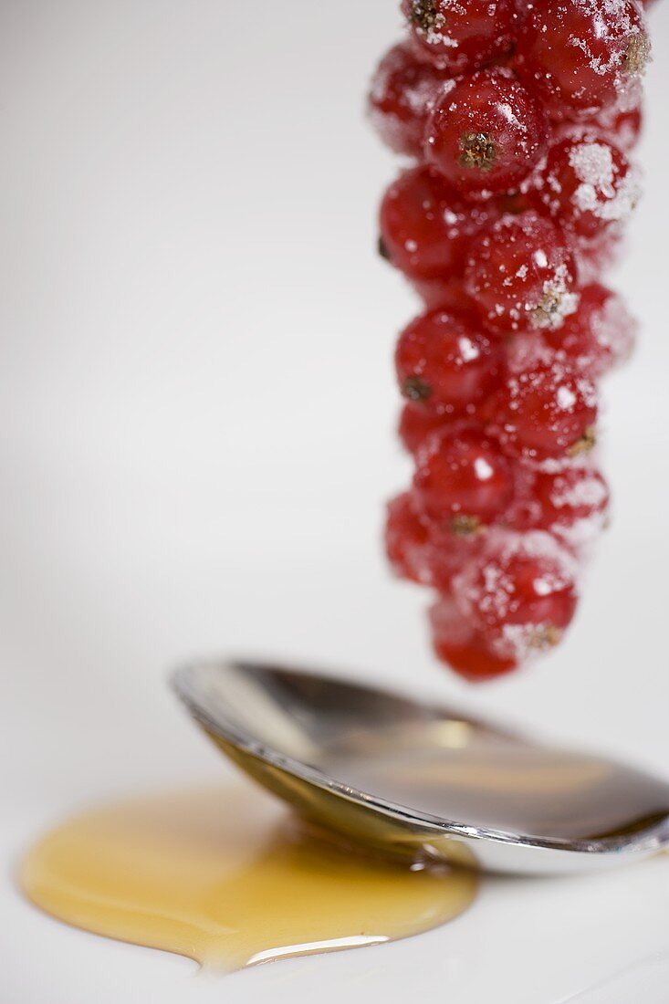 Sugared redcurrants with honey