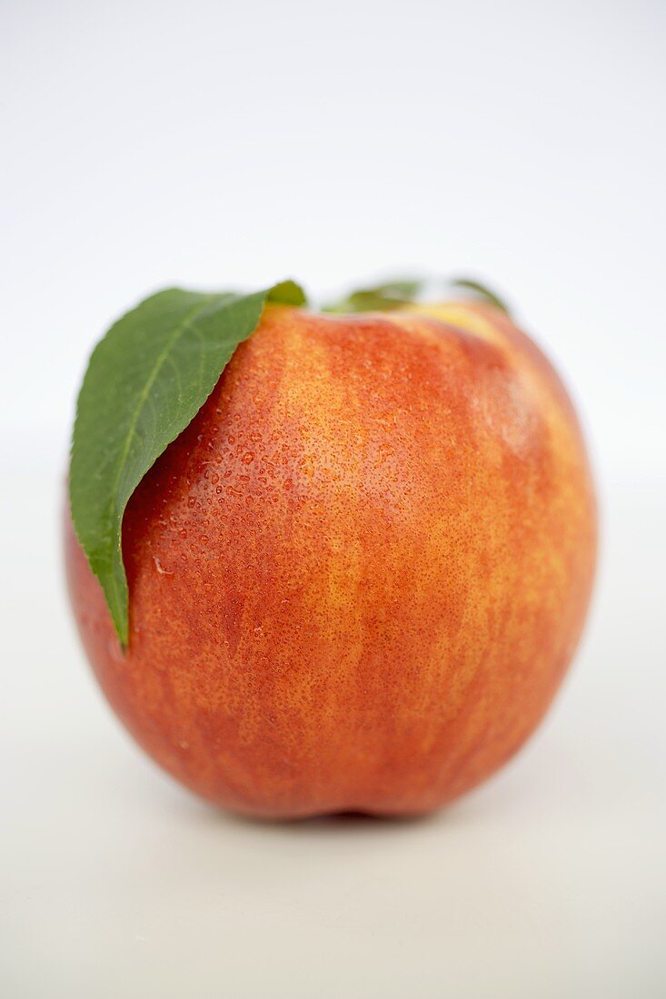 A nectarine